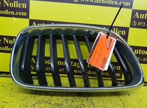 Radiator Grille BMW 2 Coupe (F22, F87)