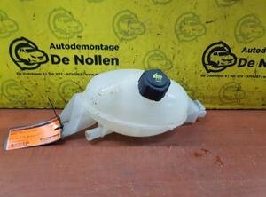 Coolant Expansion Tank RENAULT Master III Kasten (FV)