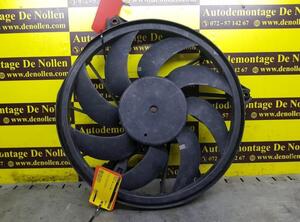 Radiator Electric Fan  Motor PEUGEOT 206 Schrägheck (2A/C)