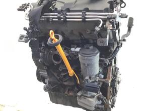 362642 Motor ohne Anbauteile (Diesel) VW Golf V (1K) BKC
