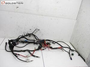 Engine Wiring Harness RENAULT Twingo II (CN0)