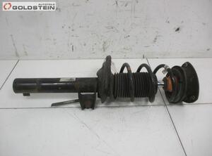 Suspension Strut SEAT Leon (5F1)