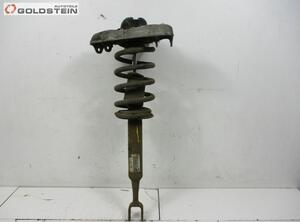 Suspension Strut AUDI A4 (8E2)