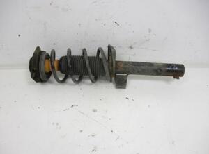 Suspension Strut SKODA Octavia II Combi (1Z5)