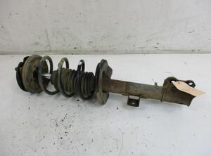 Suspension Strut FORD Maverick (--)