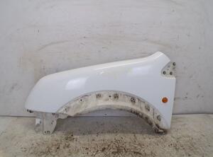 Wing FORD Transit Connect (P65, P70, P80)
