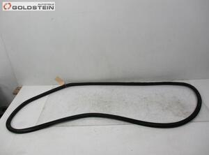 Door Seal SKODA Superb II (3T4)