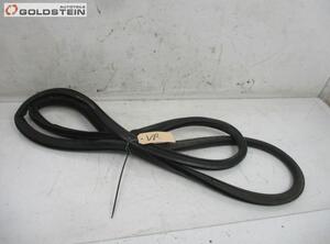 Door Seal SKODA Superb II (3T4)