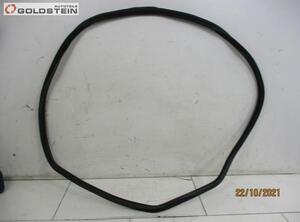 Door Seal AUDI A4 (8K2, B8)