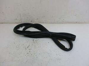 Door Seal FIAT Bravo II (198)