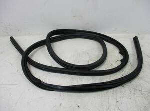 Door Seal FIAT Freemont (345), DODGE Journey (--)