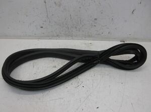 Door Seal FORD Fiesta VII (HF, HJ)