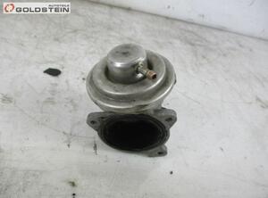 EGR Valve SEAT Ibiza III (6L1)