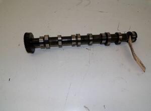 Camshaft AUDI A6 Allroad (4FH, C6), AUDI A6 Avant (4F5, C6)