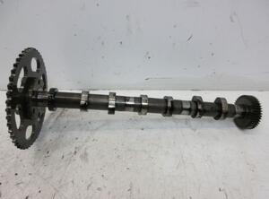 Camshaft AUDI A8 (4H2, 4H8, 4HC, 4HL)