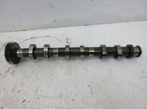 Camshaft AUDI A8 (4H2, 4H8, 4HC, 4HL)