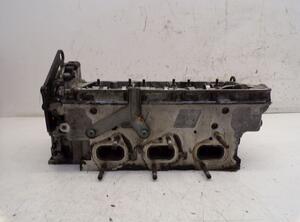 Cylinder Head AUDI A4 (8EC, B7)