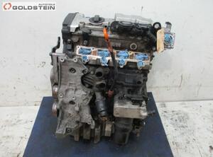 Engine Block AUDI A4 (8EC, B7)