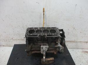 Engine Block RENAULT Clio III (BR0/1, CR0/1)