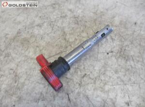 Ignition Coil AUDI A8 (400, 400000000)