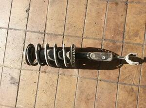 Suspension Strut AUDI A4 Avant (8D5, B5)