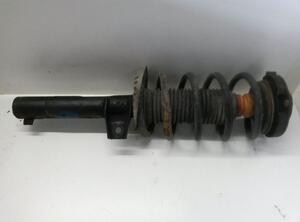 Suspension Strut SKODA Octavia II Combi (1Z5)