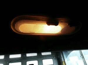 Interior Light RENAULT Clio III (BR0/1, CR0/1)