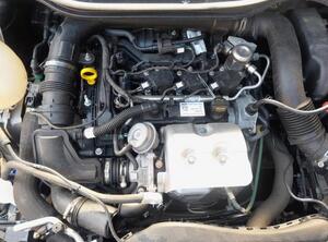 P19489961 Motor ohne Anbauteile (Benzin) FORD Fiesta VII (HJ, HF)