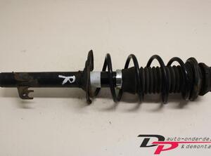 Suspension Strut PEUGEOT 107 (PM, PN)