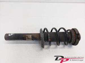 Suspension Strut AUDI TT Roadster (8J9)