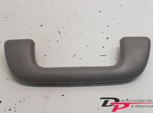 Grab Handle TOYOTA IQ (J1)