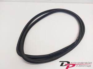 Door Seal AUDI Q7 (4LB)