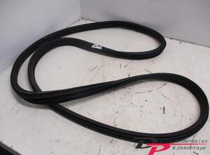 Door Seal OPEL Astra H GTC (L08)