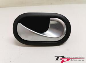 Door Handle RENAULT Twingo II (CN0)