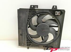 Radiator Electric Fan  Motor PEUGEOT 207 (WA, WC)