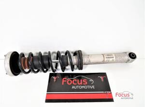 Suspension Strut BMW 5er (E60), BMW 5er (F10)