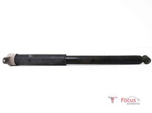 Shock Absorber FORD Focus III (--)