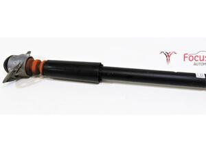 Shock Absorber VW Beetle (5C1, 5C2)