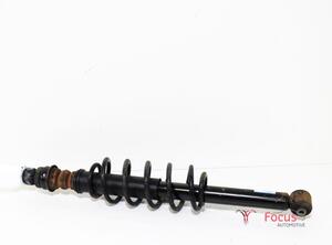 Shock Absorber KIA Picanto (JA), KIA Picanto (TA)