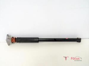 Shock Absorber FORD Fiesta VI (CB1, CCN)