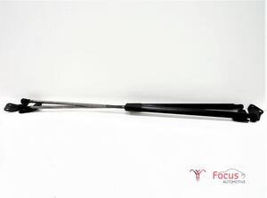 Bootlid (Tailgate) Gas Strut Spring NISSAN Juke (F15)