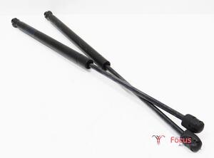 Bootlid (Tailgate) Gas Strut Spring VW EOS (1F7, 1F8)