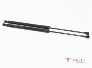 Bootlid (Tailgate) Gas Strut Spring CITROËN C3 Picasso (--)