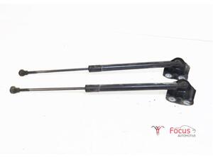 Bootlid (Tailgate) Gas Strut Spring RENAULT Clio III (BR0/1, CR0/1), RENAULT Clio IV (BH)