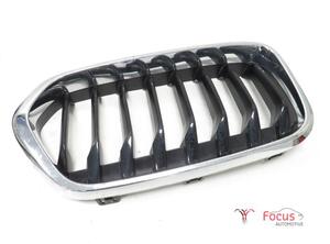 Radiator Grille BMW X2 (F39)