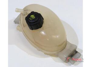 Coolant Expansion Tank RENAULT Master III Kasten (FV)