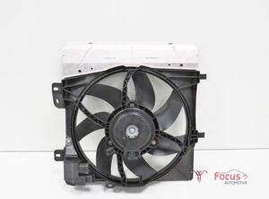 Radiator Electric Fan  Motor CITROËN C3 II (SC), CITROËN C3 III (SX)