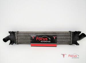 Intercooler FORD Focus II (DA, DP, HCP)