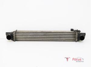 Intercooler FIAT Qubo (225)