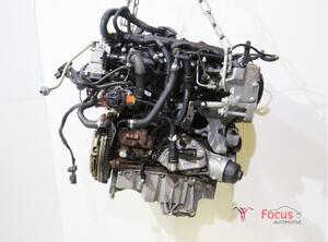 P14294652 Motor ohne Anbauteile (Diesel) FIAT Bravo II (198) 0445110300